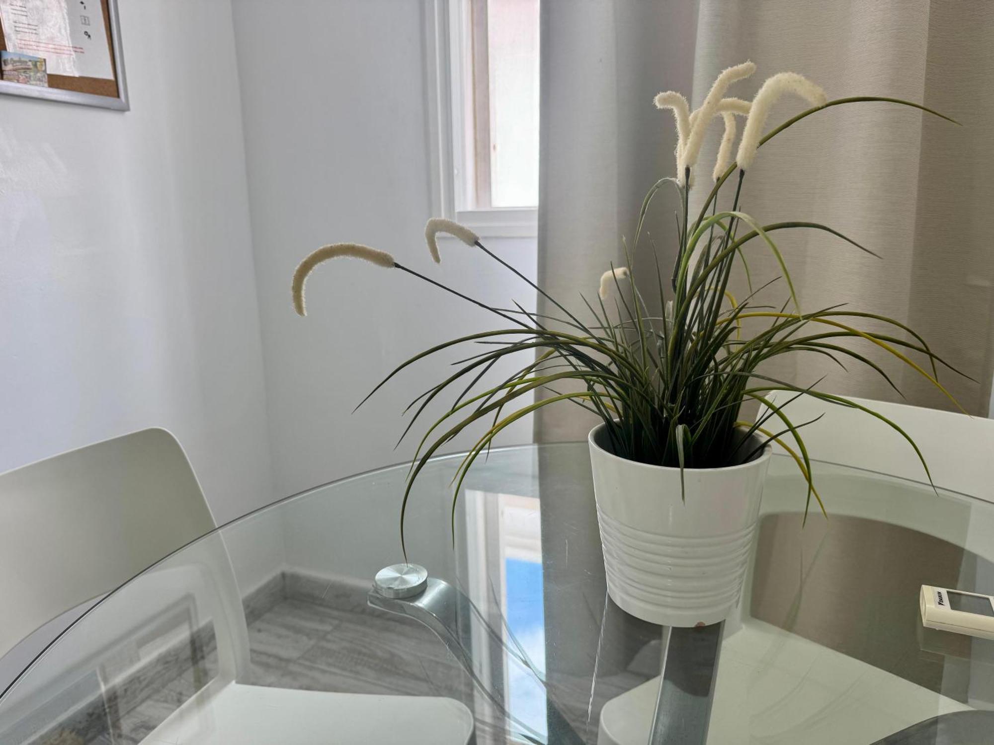Stunning Apartments With Pool Tenerife Costa Adeje  Eksteriør bilde